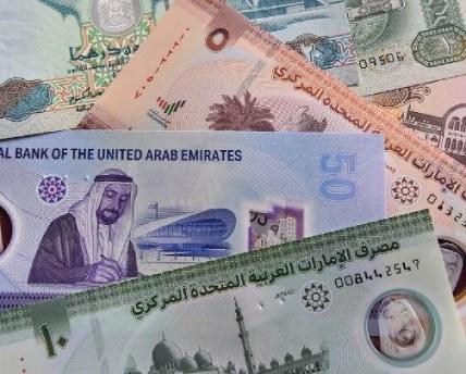 UAE currency notes representing business growth and franchise investment opportunities.